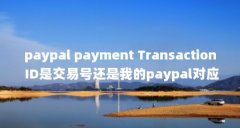 paypal payment Transaction ID是交易号还是我的paypal对应的邮箱...（dns报文的transacti