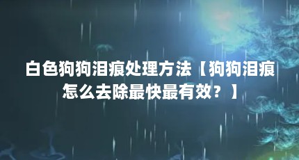 白色狗狗泪痕处理方法【狗狗泪痕怎么去除最快最有效？】