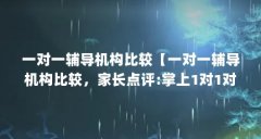 一对一辅导机构比较【一对一辅导机构比较，家长点评:掌上1对1对1补课靠谱吗