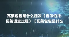 瓦莱包包是什么档次（吉尔伯托·瓦莱调查过程）【瓦莱包包是什么档次】