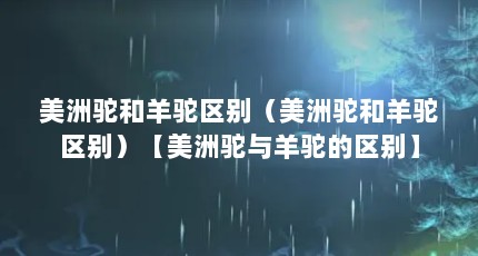 美洲驼和羊驼区别（美洲驼和羊驼区别）【美洲驼与羊驼的区别】