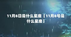 11月8日是什么星座【11月8号是什么星座】