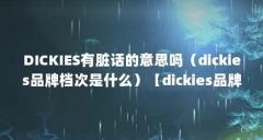DICKIES有脏话的意思吗（dickies品牌档次是什么）【dickies品牌档次是什么意思di