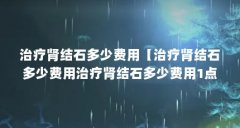 治疗肾结石多少费用【治疗肾结石多少费用治疗肾结石多少费用1点解答对大家
