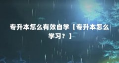 专升本怎么有效自学【专升本怎么学习?】