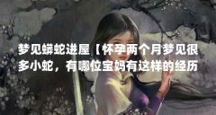 梦见蟒蛇进屋【怀孕两个月梦见很多小蛇，有哪位宝妈有这样的经历吗？】