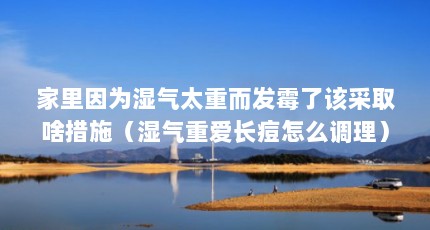 家里因为湿气太重而发霉了该采取啥措施（湿气重爱长痘怎么调理）【家里因为湿气太重而发霉了该采取啥措施】