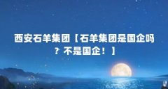 西安石羊集团【石羊集团是国企吗?不是国企!】