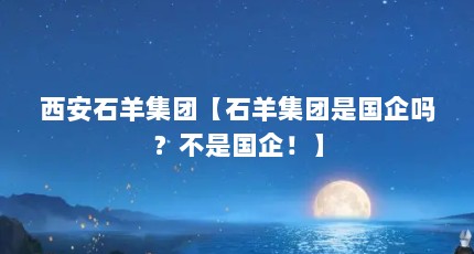 西安石羊集团【石羊集团是国企吗？不是国企！】