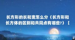 长方形的长和宽怎么分(长方形和长方体的区别和共同点有哪些?)【百度百科