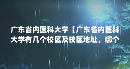 广东省内医科大学【广东省内医科大学有几个校区及校区地址，哪个校区最好？】