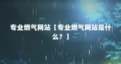 专业燃气网站【专业燃气网站是什么？】
