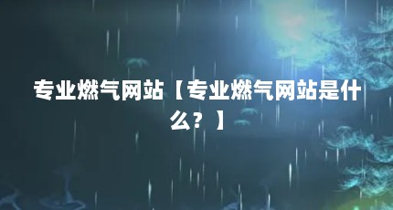 专业燃气网站【专业燃气网站是什么？】