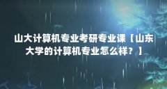 山大计算机专业考研专业课【山东大学的计算机专业怎么样？】