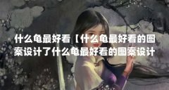 什么龟最好看【什么龟最好看的图案设计了什么龟最好看的图案设计】