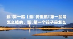 甄嬛第一胎【甄嬛传里甄嬛第一胎是怎么掉的,甄嬛第一个孩子是怎么掉的】