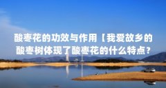 酸枣花的功效与作用【我爱故乡的酸枣树体现了酸枣花的什么特点?】