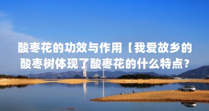 酸枣花的功效与作用【我爱故乡的酸枣树体现了酸枣花的什么特点？】