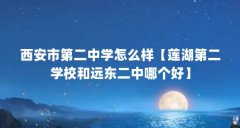 西安市第二中学怎么样【莲湖第二学校和远东二中哪个好】