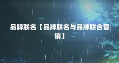 品牌联名【品牌联名与品牌联合营销】