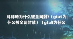 牌牌琦为什么被全网封?(gta5为什么被全网封禁)【gta5为什么被全网封号,牌牌