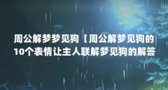 周公解梦梦见狗【周公解梦见狗的10个表情让主人联解梦见狗的解答】