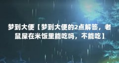 梦到大便【梦到大便的2点解答，老鼠屎在米饭里能吃吗，不能吃】