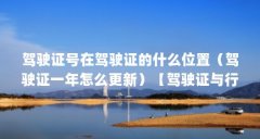 驾驶证号在驾驶证的什么位置（驾驶证一年怎么更新）【驾驶证与行车证一年怎么更新驾驶证