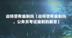 巡特警有编制吗【巡特警有编制吗,公务员考试编制的解答】