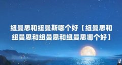纽曼思和纽曼斯哪个好【纽曼思和纽曼思和纽曼思和纽曼思哪个好】