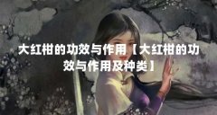 大红柑的功效与作用【大红柑的功效与作用及种类】