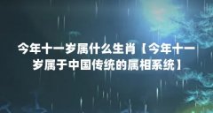 今年十一岁属什么生肖【今年十一岁属于中国传统的属相系统】