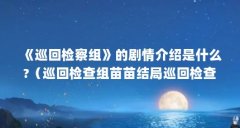 《巡回检察组》的剧情介绍是什么?（巡回检查组苗苗结局巡回检查组苗苗到底