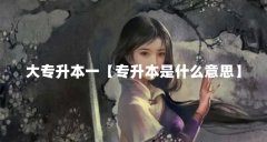 大专升本一【专升本是什么意思】