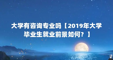 大学有咨询专业吗【2019年大学毕业生就业前景如何？】