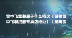 雪中飞童装属于什么档次（昆明雪中飞羽绒服专卖店