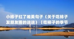 小柿子红了唯美句子（关于吃柿子发朋友圈的说说）【吃柿子的季节到了】