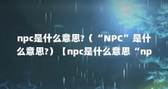 npc是什么意思?(“NPC”是什么意思?)【npc是什么意思“npc”是什么意思2点解答