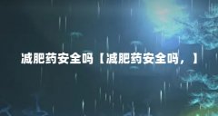 减肥药安全吗【减肥药安全吗，】
