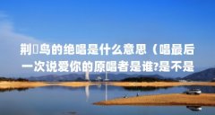 荆莿鸟的绝唱是什么意思（唱最后一次说爱你的原唱者是谁?是不是在她十七岁
