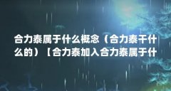 合力泰属于什么概念（合力泰干什么的）【合力泰加