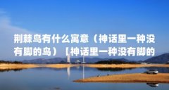 荆棘鸟有什么寓意(神话里一种没有脚的鸟)【神话里一种没有脚的鸟】