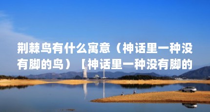 荆棘鸟有什么寓意（神话里一种没有脚的鸟）【神话里一种没有脚的鸟】