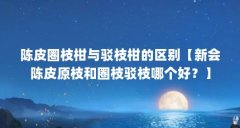 陈皮圈枝柑与驳枝柑的区别【新会陈皮原枝和圈枝驳枝哪个好？】
