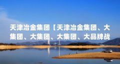 天津冶金集团【天津冶金集团、大集团、大集团、大集团、大品牌战略介绍】