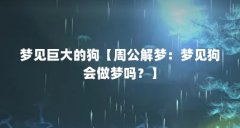 梦见巨大的狗【周公解梦:梦见狗会做梦吗?】