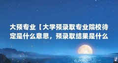 大预专业【大学预录取专业院校待定是什么意思,预录取结果是什么意思】
