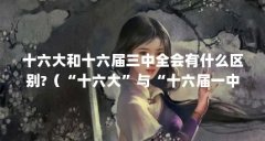 十六大和十六届三中全会有什么区别?（“十六大”与