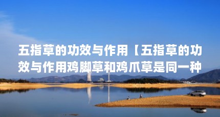 五指草的功效与作用【五指草的功效与作用鸡脚草和鸡爪草是同一种草吗】