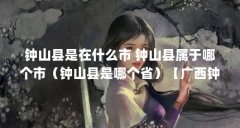 钟山县是在什么市 钟山县属于哪个市(钟山县是哪个省)【广西钟山县人民政